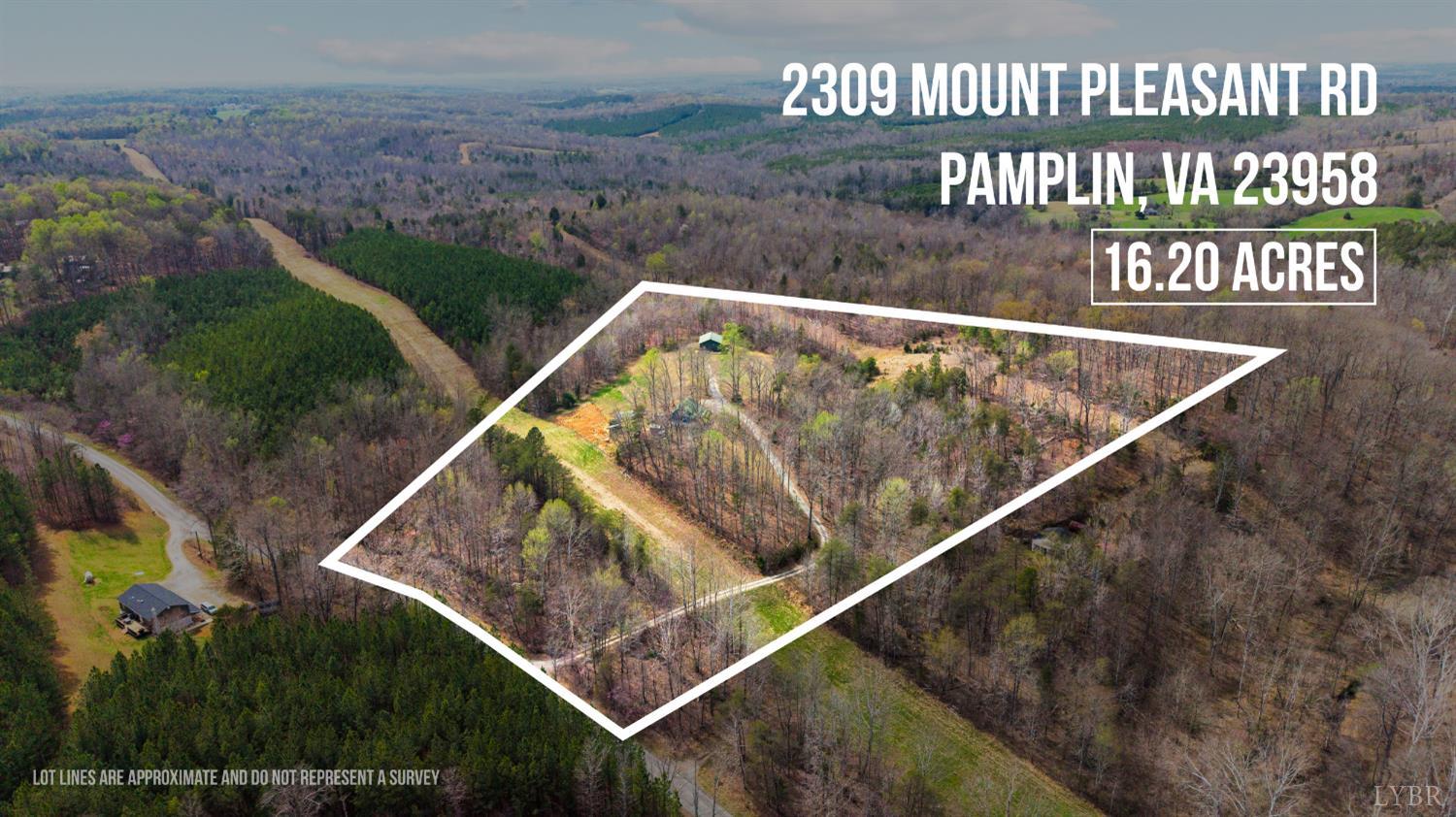 2309 Mount Pleasant Road Pamplin, VA 23958 - Photo 4 of 68