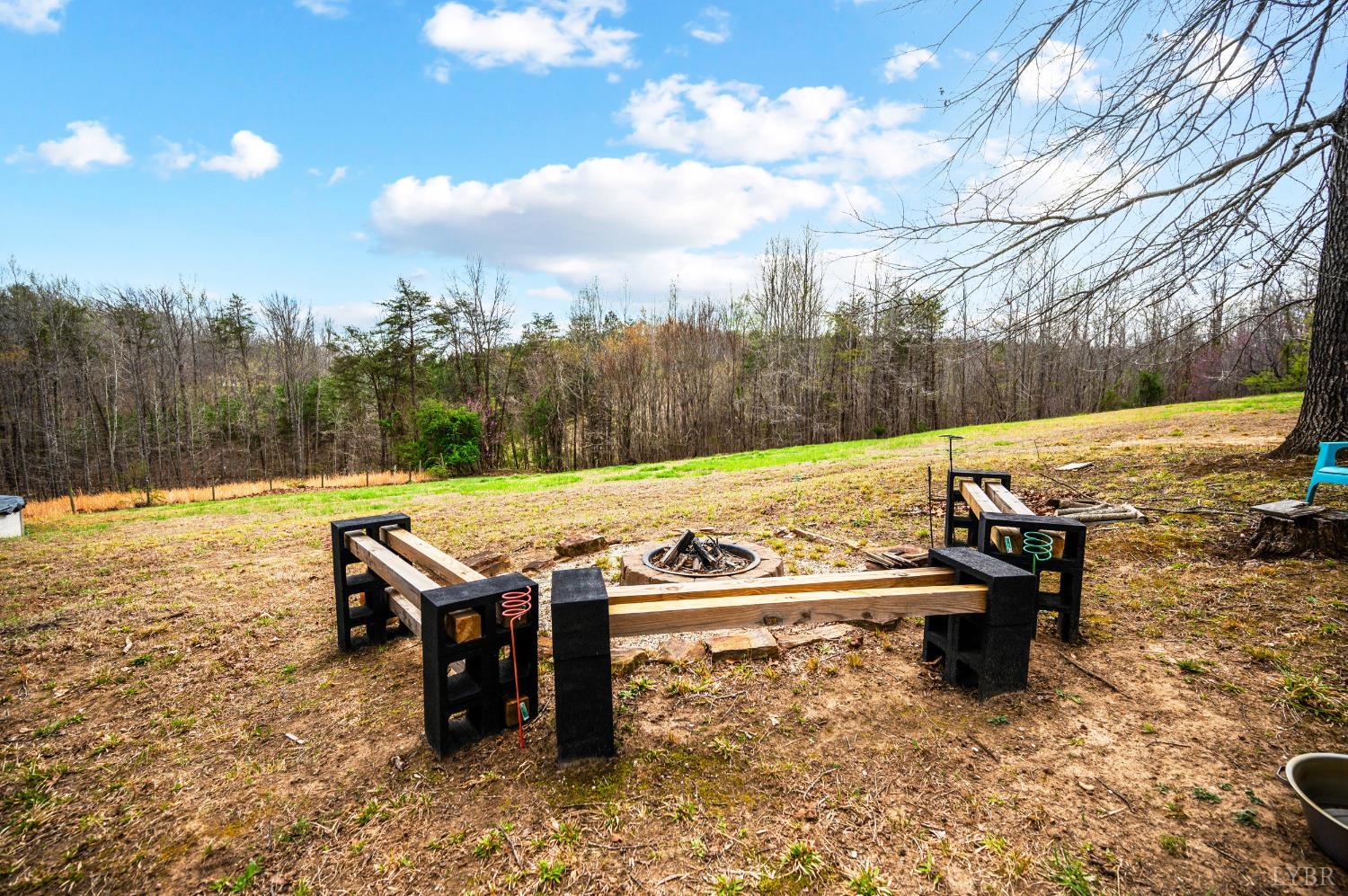 2309 Mount Pleasant Road Pamplin, VA 23958 - Photo 45 of 68