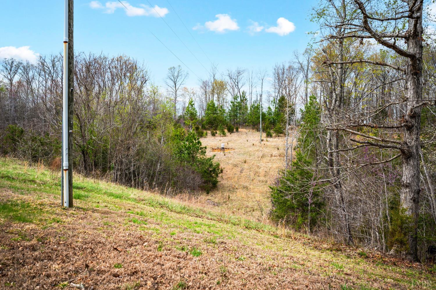 2309 Mount Pleasant Road Pamplin, VA 23958 - Photo 59 of 68