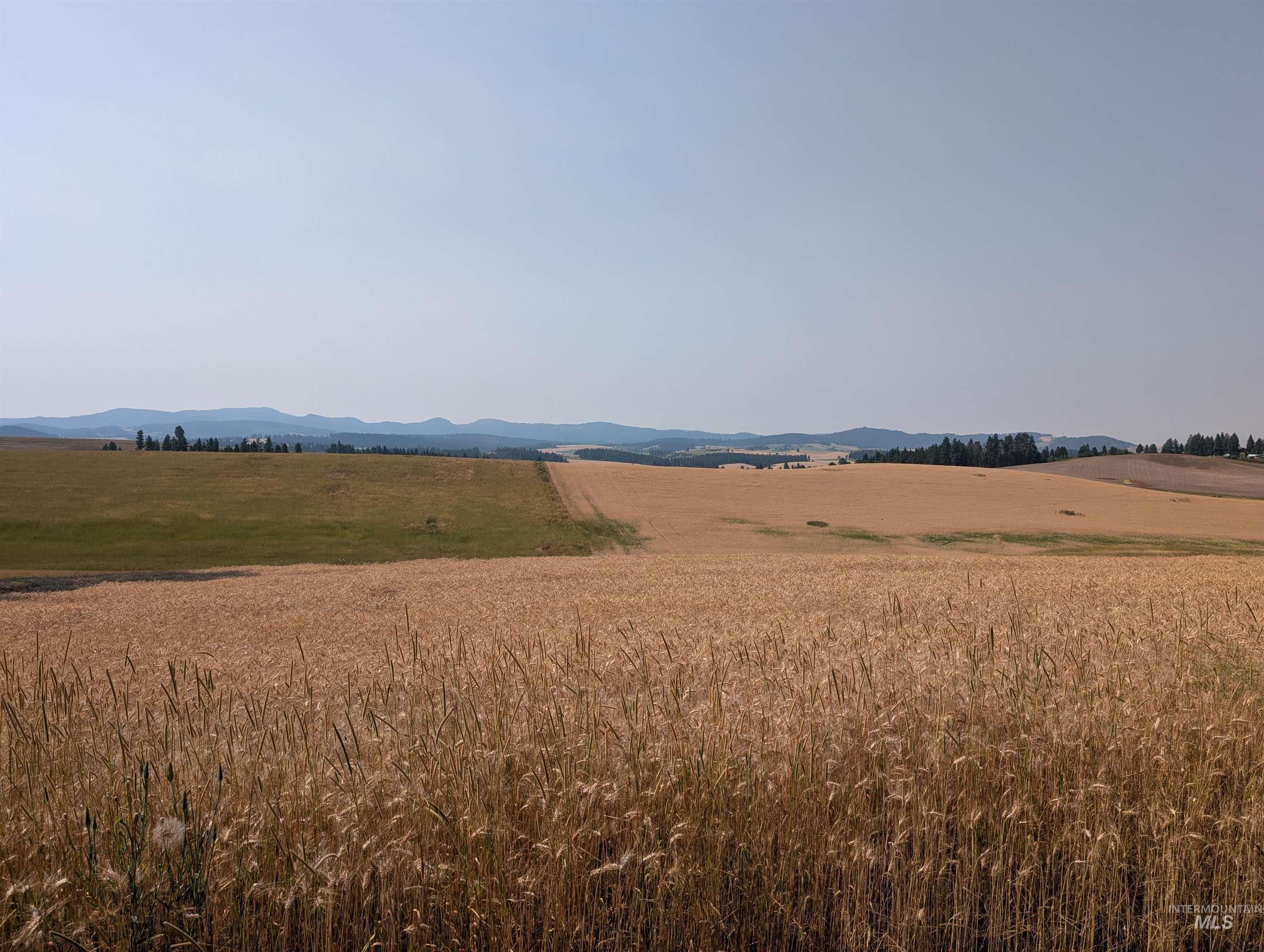 37-ac Tbd Boller Road Potlatch, ID 83855 - Photo 7 of 19 Gallery Image 7