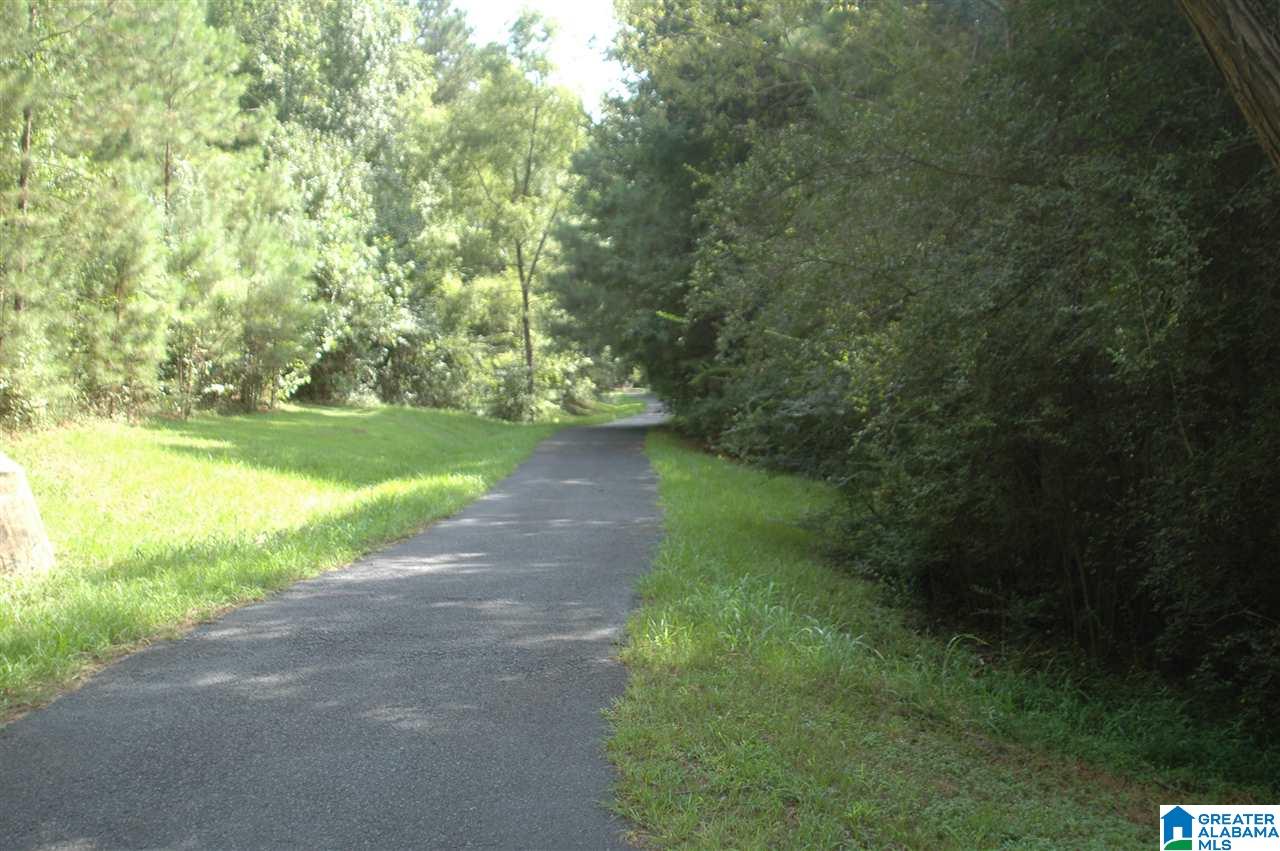 157 Maple Trace Hoover, AL 35244 - Photo 48 of 50 Gallery Image 48