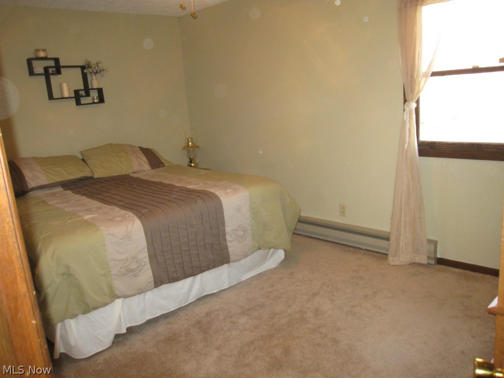 14800 Rapids Road Burton, OH 44021 - Photo 9 of 19 Gallery Image 9