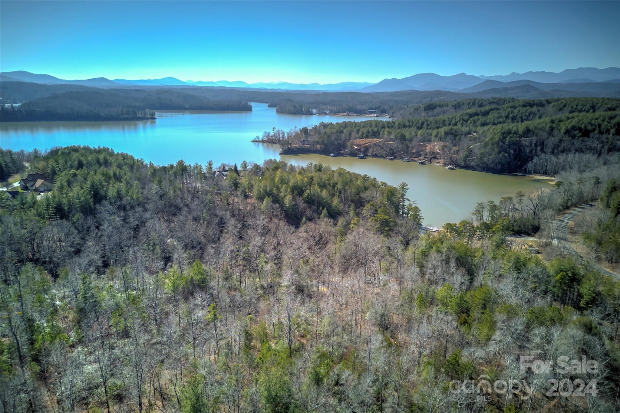 214 Ridge Point Road, Unit 10 Nebo, NC 28761 - Photo 3 of 6 Gallery Image 3