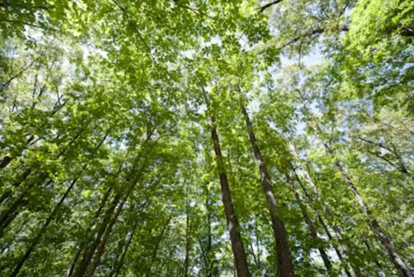 $179,000 | 131 Stone Lake Drive, Madison, MS 39110