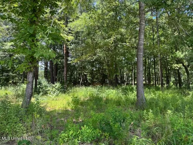 $179,000 | 131 Stone Lake Drive, Madison, MS 39110