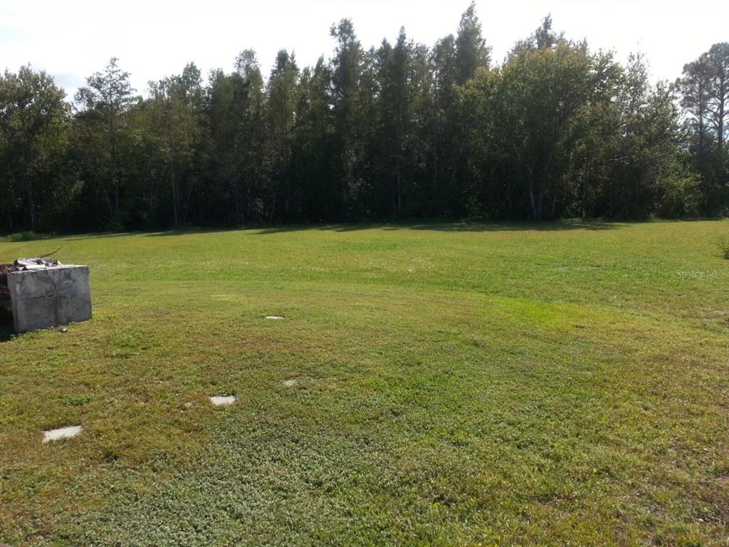 6378 New Hope Road Orlando, FL 32824 - Photo 29 of 36