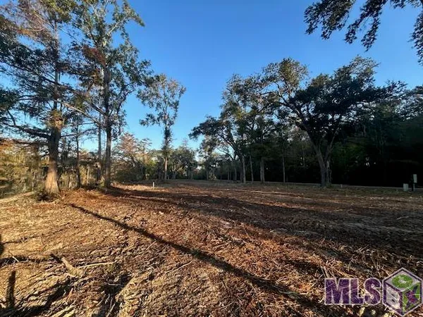 $79,900 | 14239 Old River Road, Maurepas, LA 70449