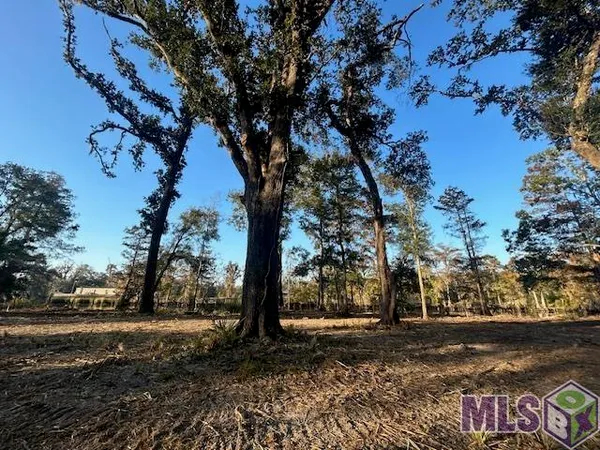$79,900 | 14239 Old River Road, Maurepas, LA 70449