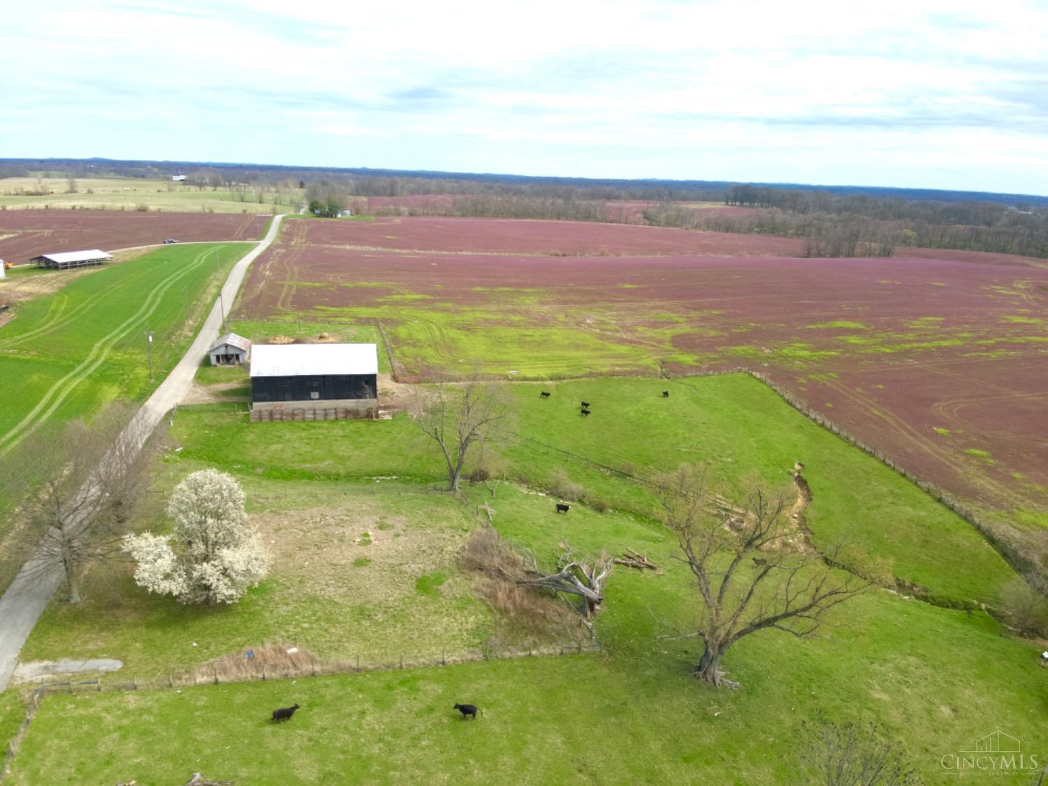 7402 Gardner Road Ripley, OH 45167 - Photo 5 of 33