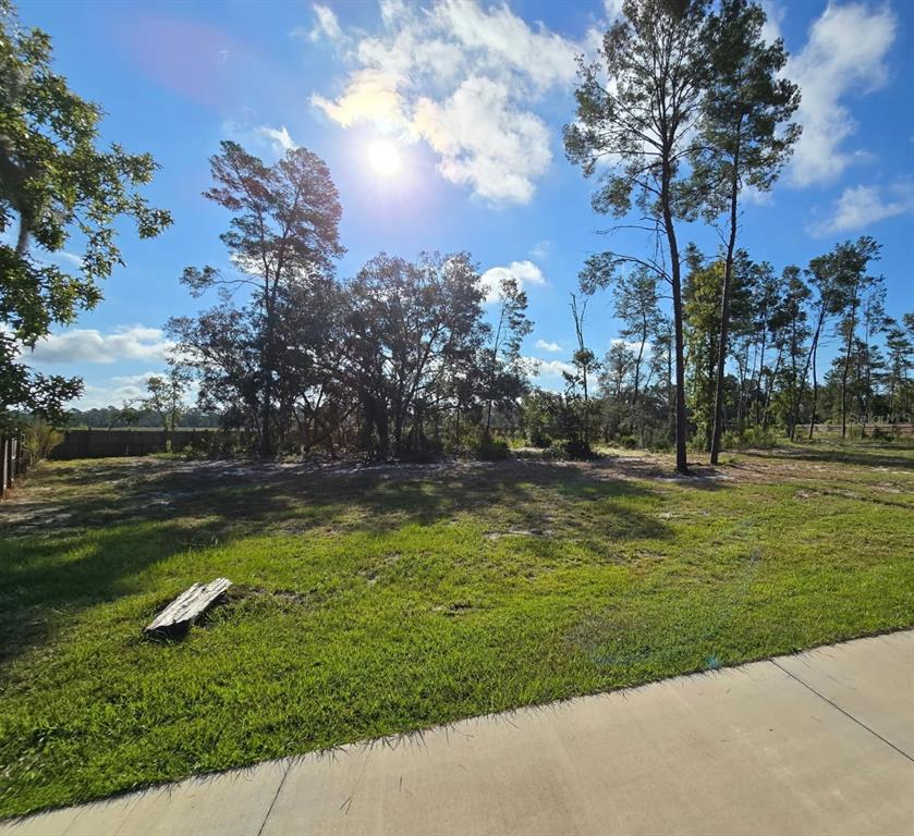 854 Fisher Road Ocklawaha, FL 32179 - Photo 15 of 15