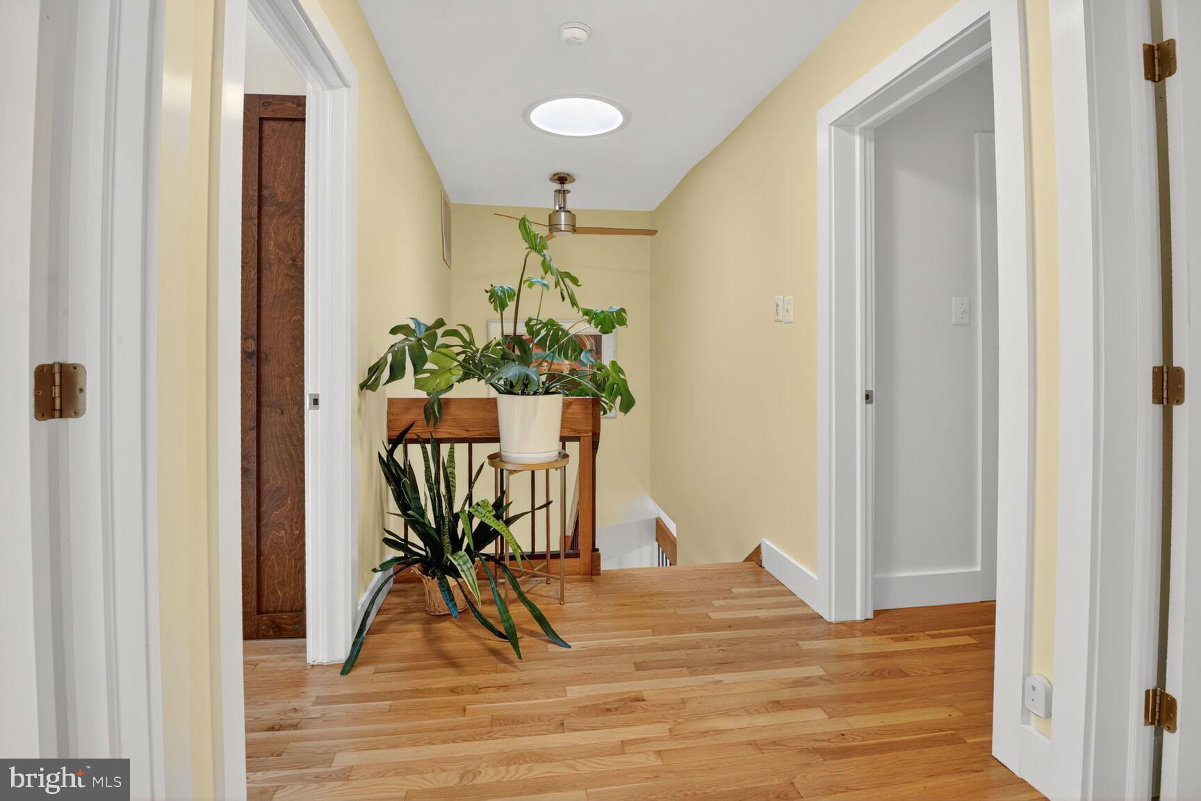 11775 Indian Ridge Road Reston, VA 20191 - Photo 21 of 29 a view of a room with wooden floor and a potted plant