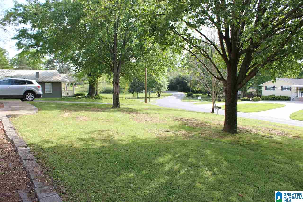 8391 Stouts Road Morris, AL 35116 - Photo 10 of 33