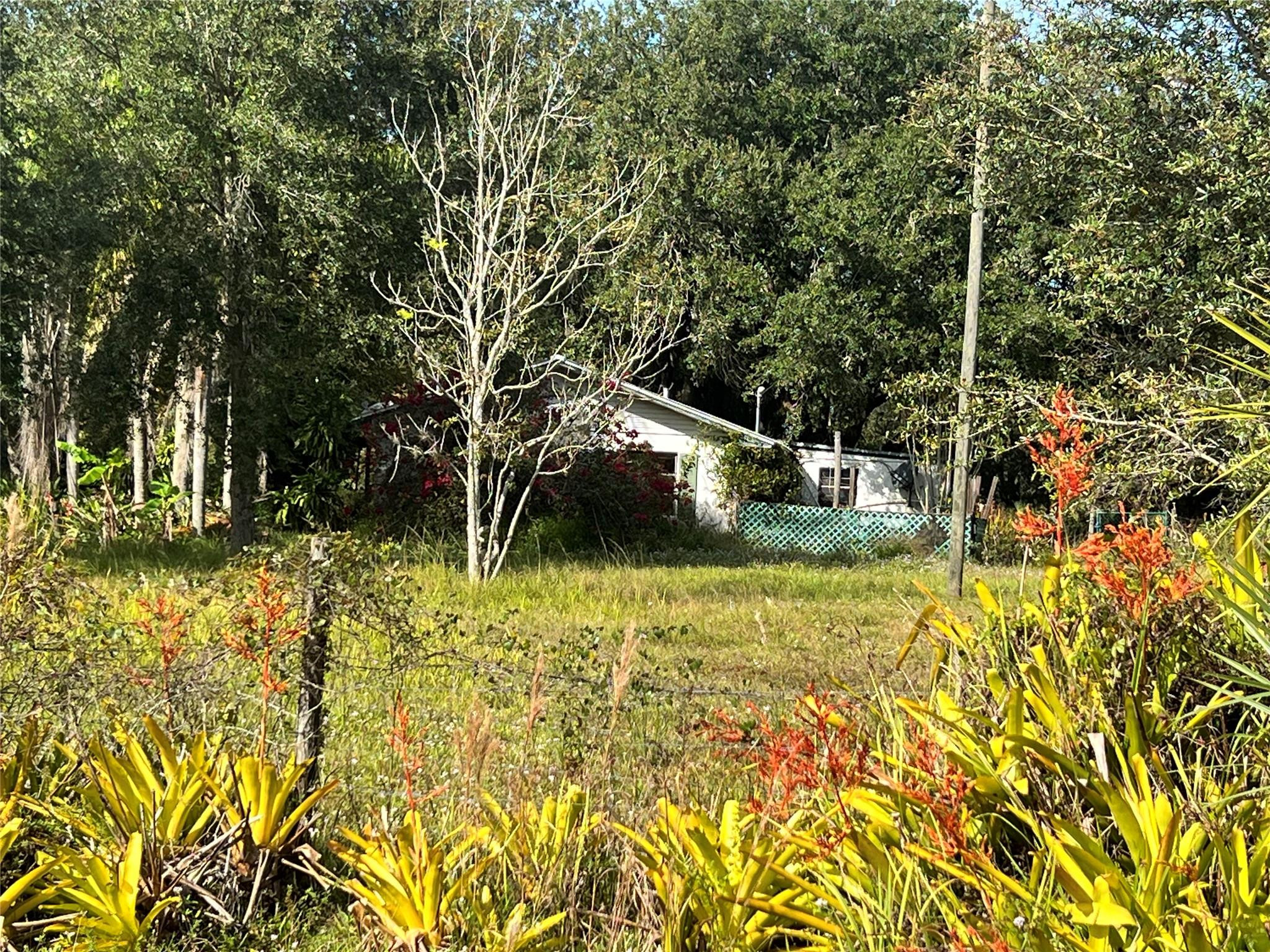 14625 Northwest 298th Street Okeechobee, FL 34972 - Photo 1 of 11 a view of a yard with plants and large trees