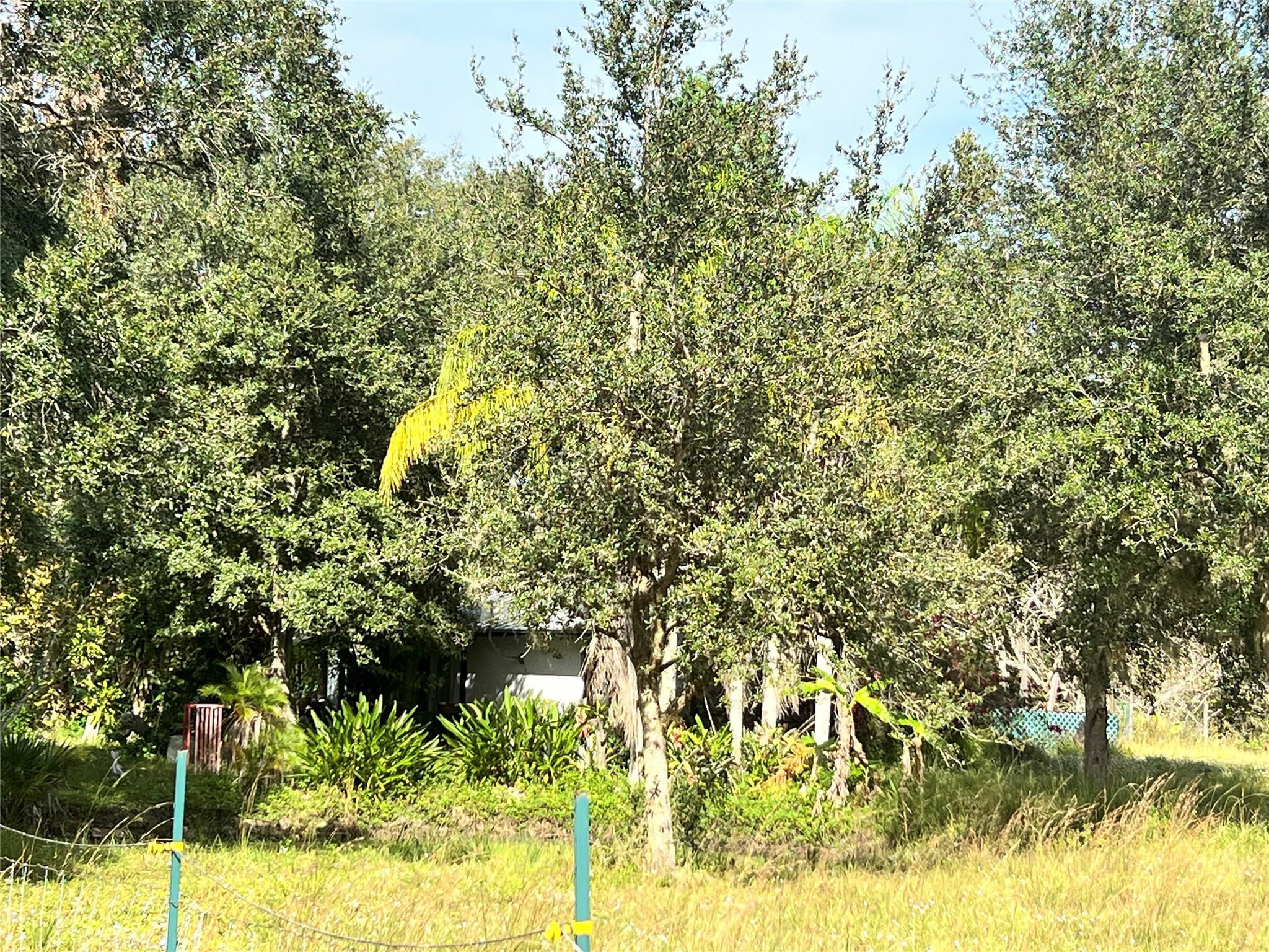 14625 Northwest 298th Street Okeechobee, FL 34972 - Photo 2 of 11 a view of yard with green space
