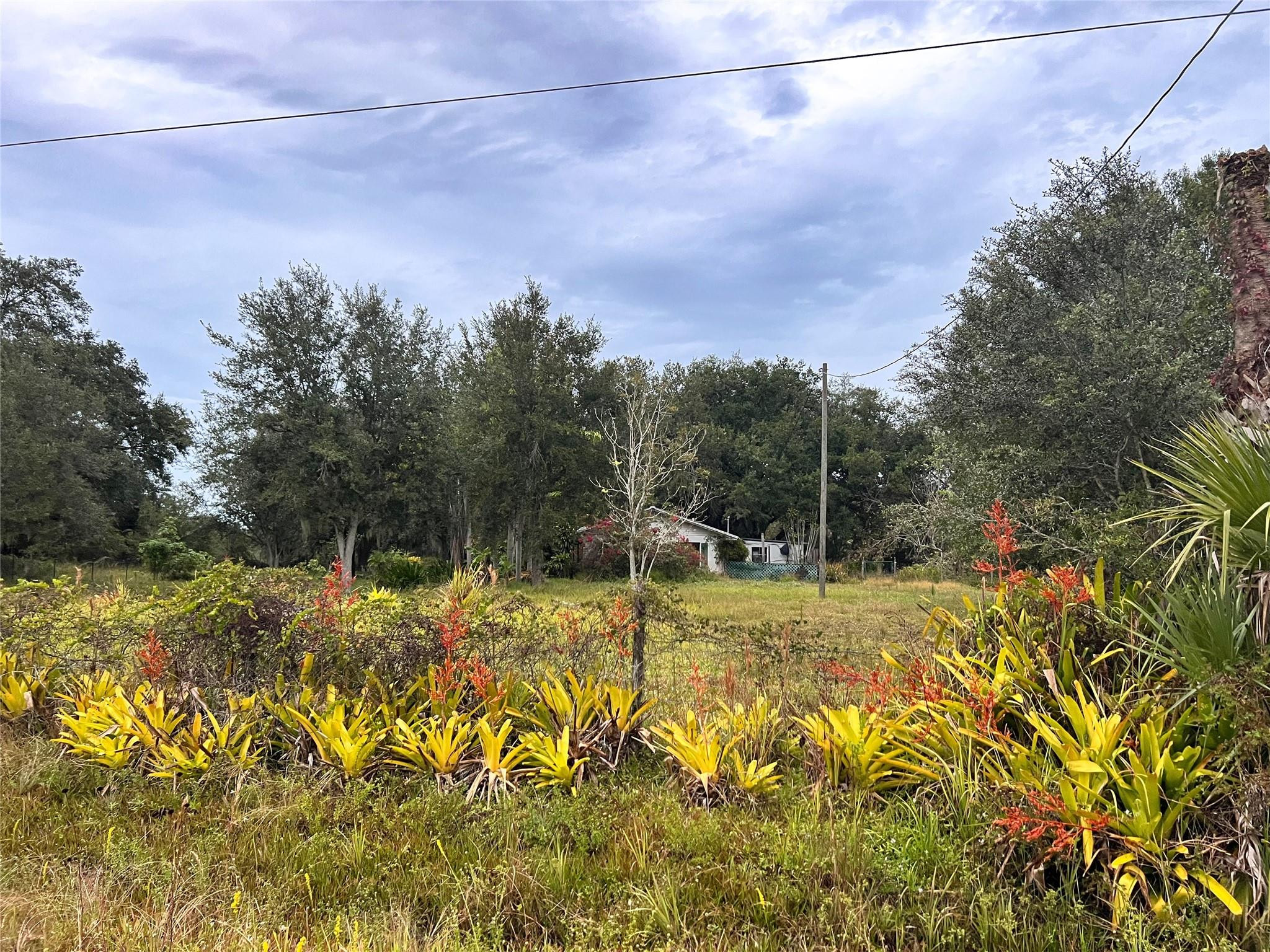 14625 Northwest 298th Street Okeechobee, FL 34972 - Photo 4 of 11 a view of a yard with a tree
