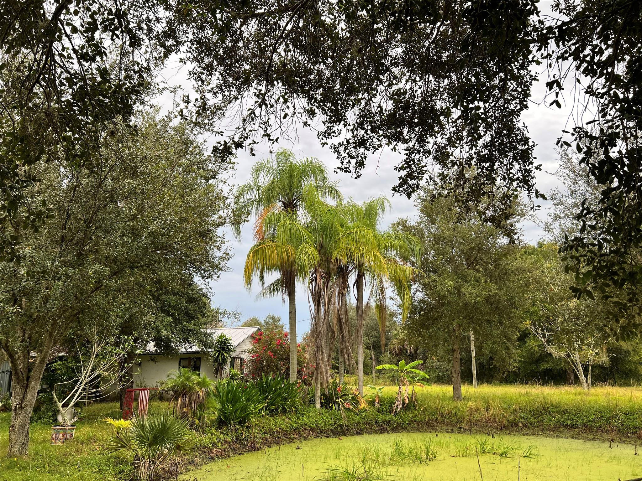 14625 Northwest 298th Street Okeechobee, FL 34972 - Photo 5 of 11 a view of backyard with swimming pool and green space