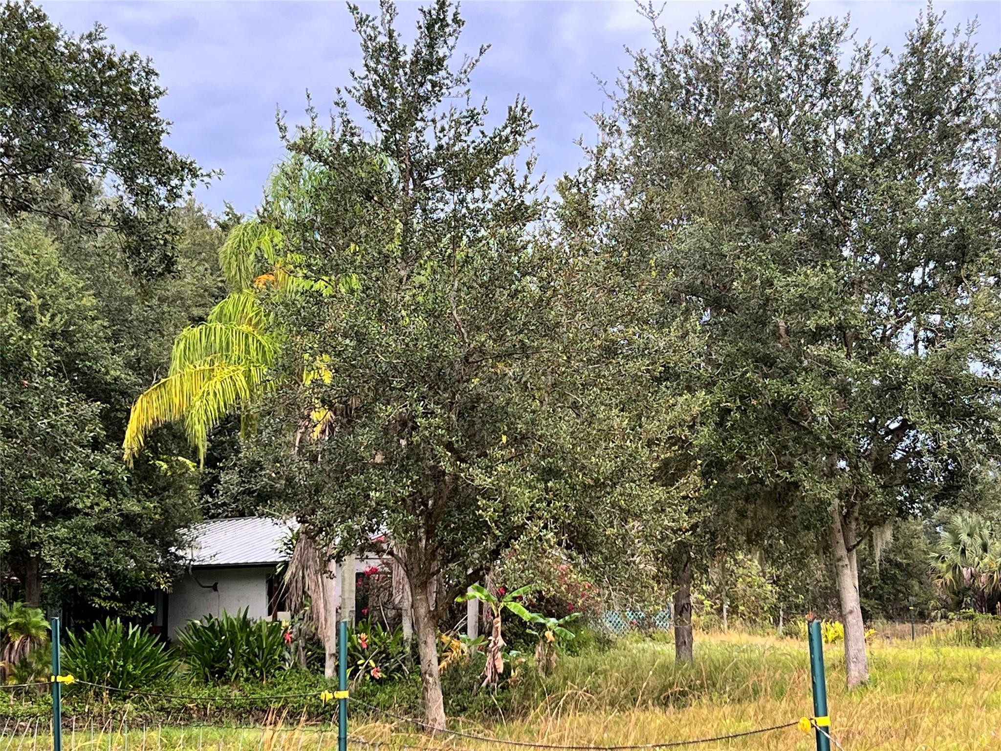 14625 Northwest 298th Street Okeechobee, FL 34972 - Photo 10 of 11 a view of a house with a yard