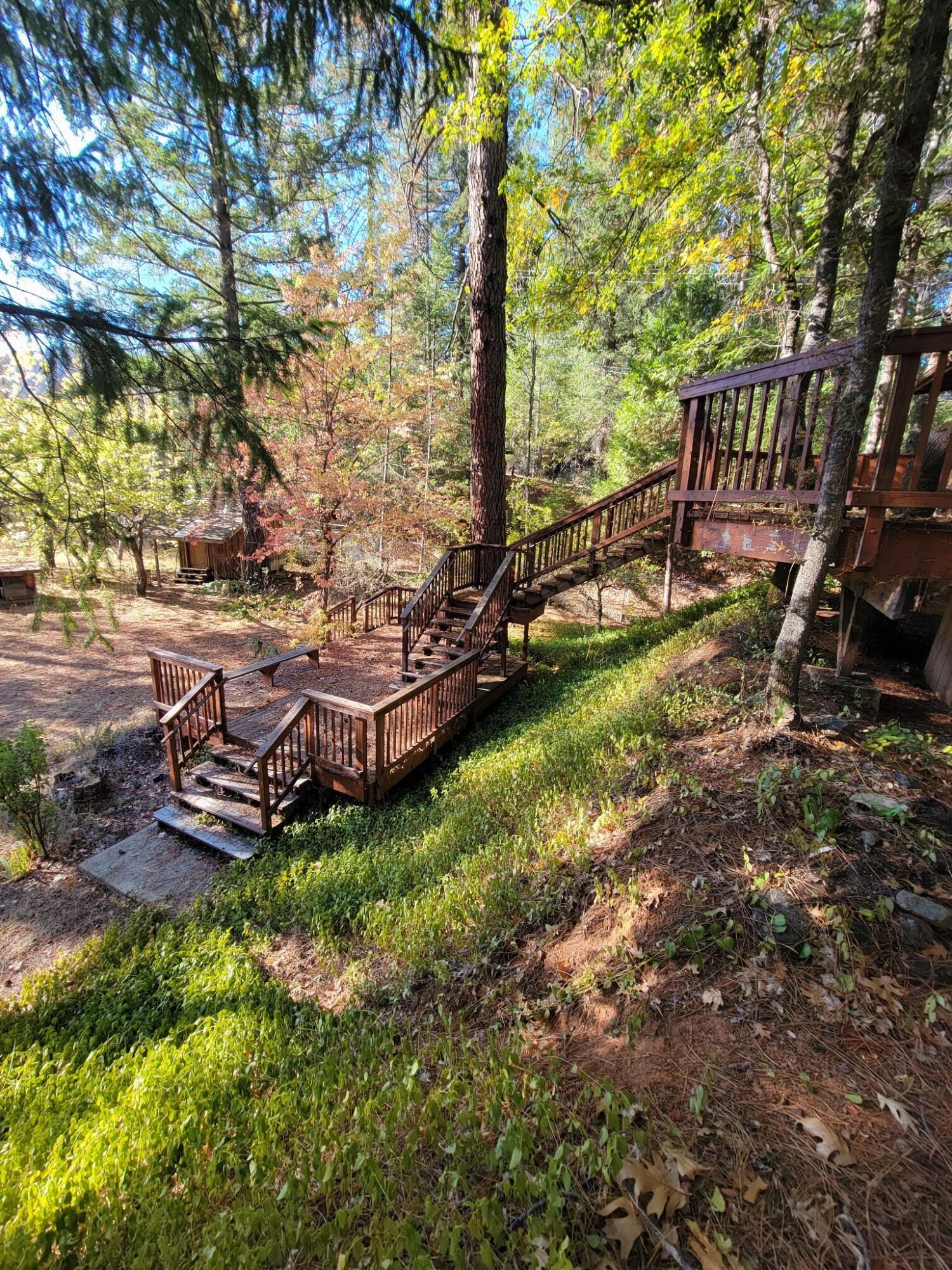 330 Lake Road Junction City, CA 96048 - Photo 3 of 50 a view of a backyard with plants and a garden