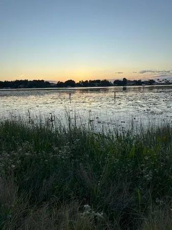 a view of a lake from a yard