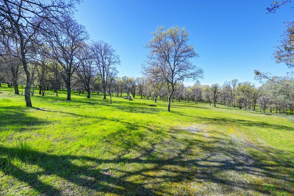 5508 High Sierra Road Pilot Hill, CA 95664 - Photo 76 of 86 Gallery Image 76