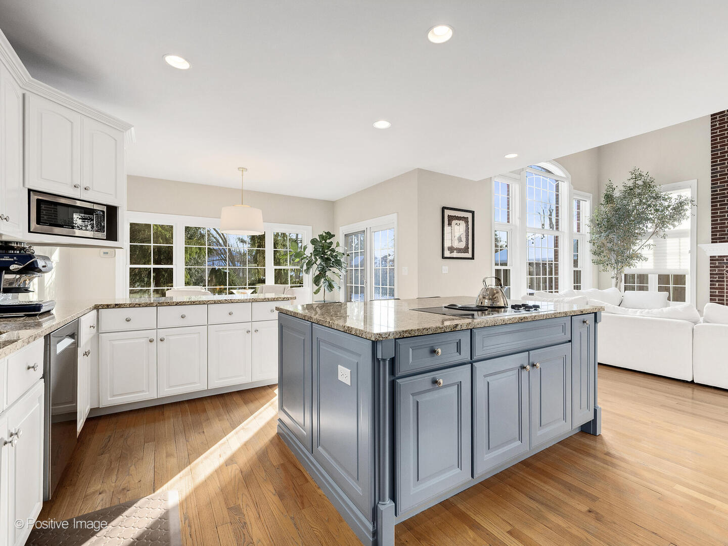 423 Ridge Avenue Clarendon Hills, IL 60514 - Photo 14 of 44