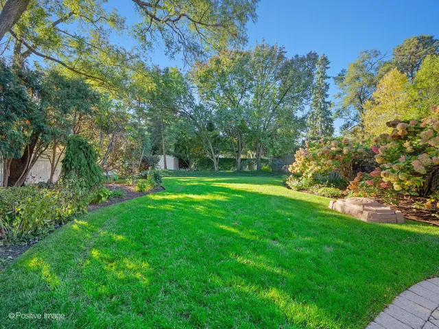 a view of a park with large trees