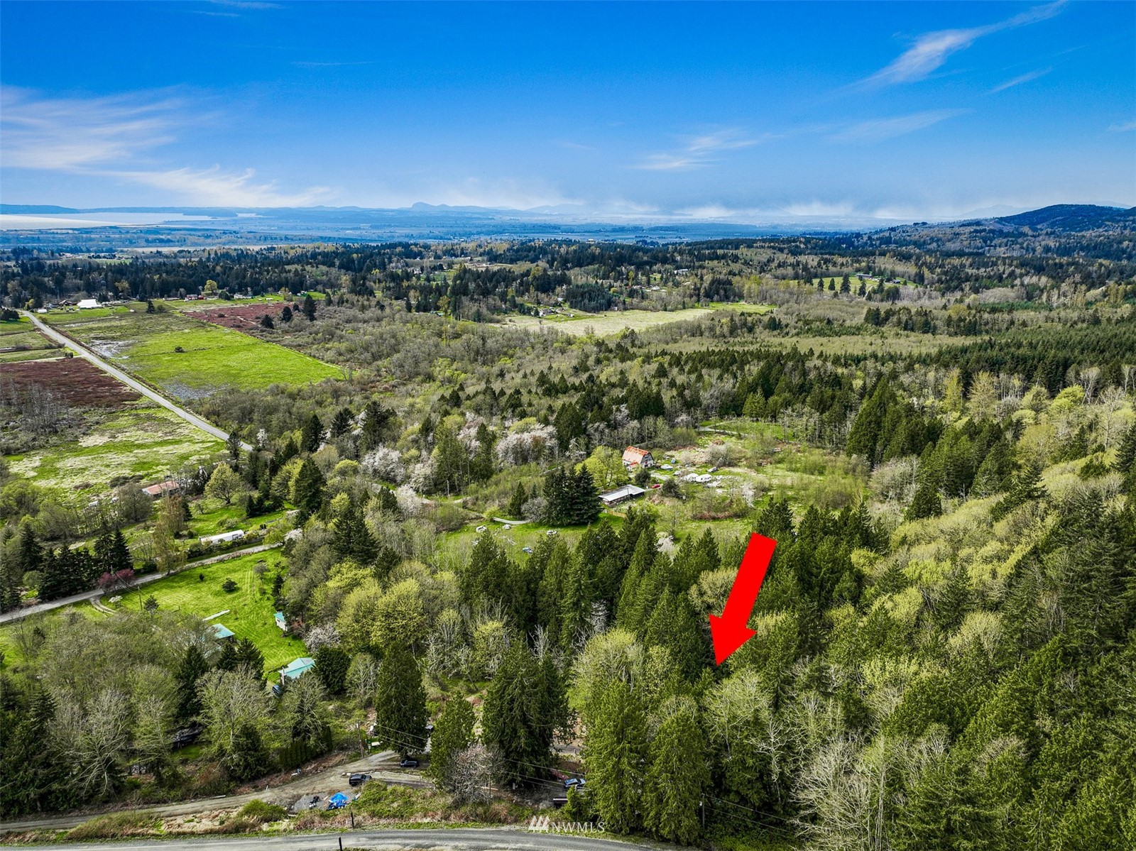 21445 Starbird Road Mount Vernon, WA 98274 - Photo 34 of 38 Gallery Image 34
