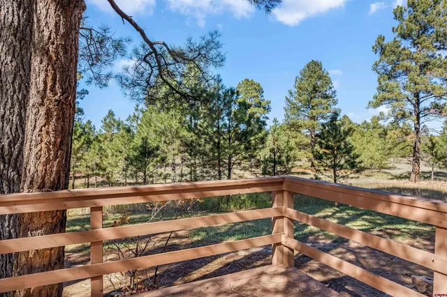 a view of a backyard with wooden fence