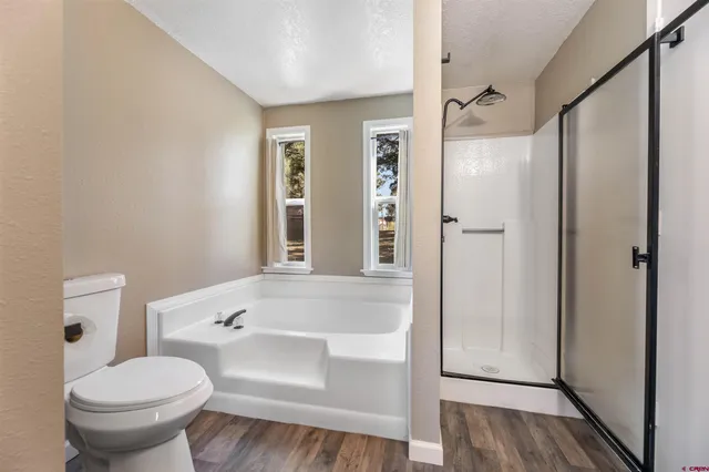 a bathroom with a toilet and a shower