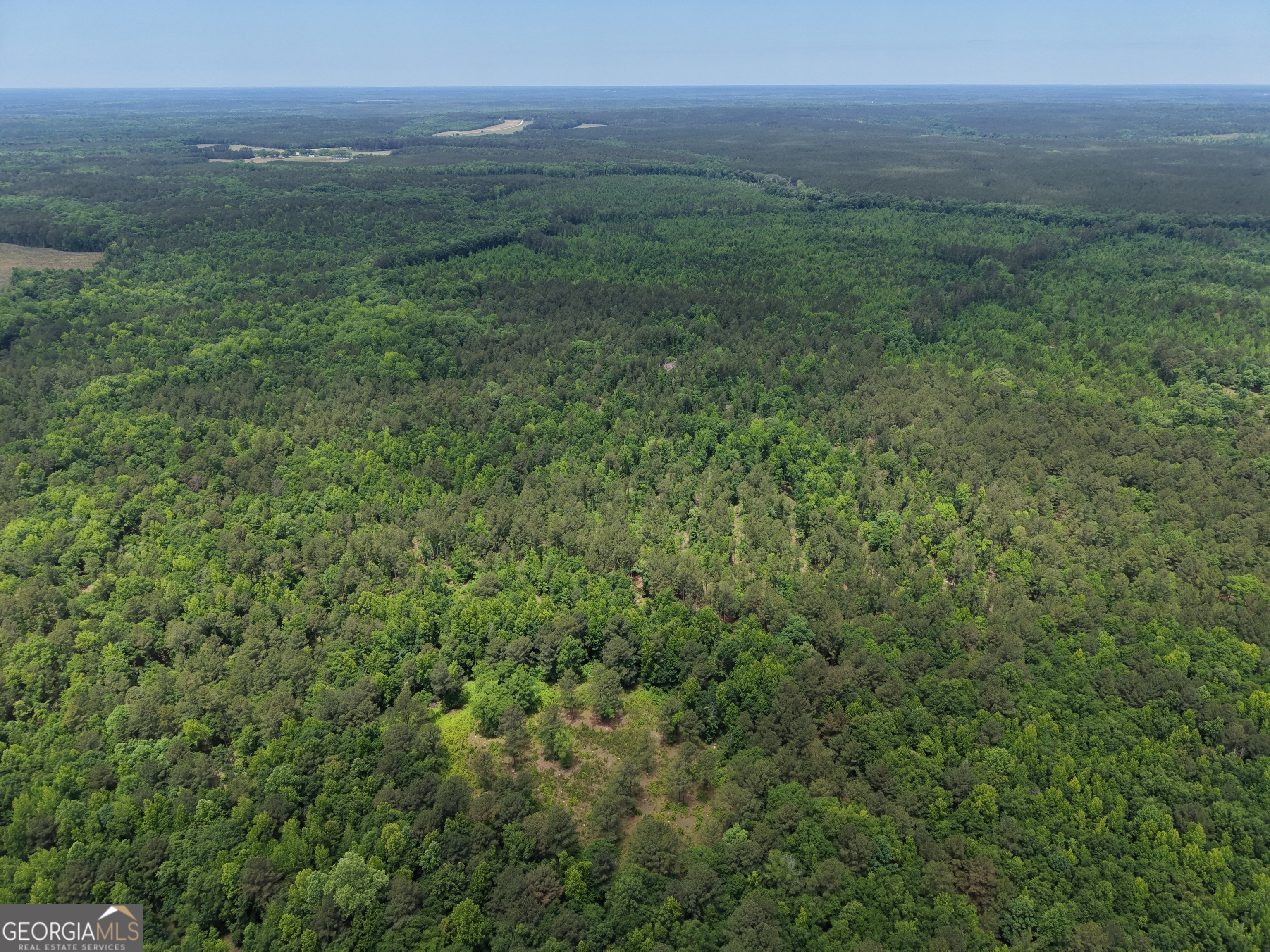 715 Fulsome Creek Road Sparta, GA 31087 - Photo 32 of 117
