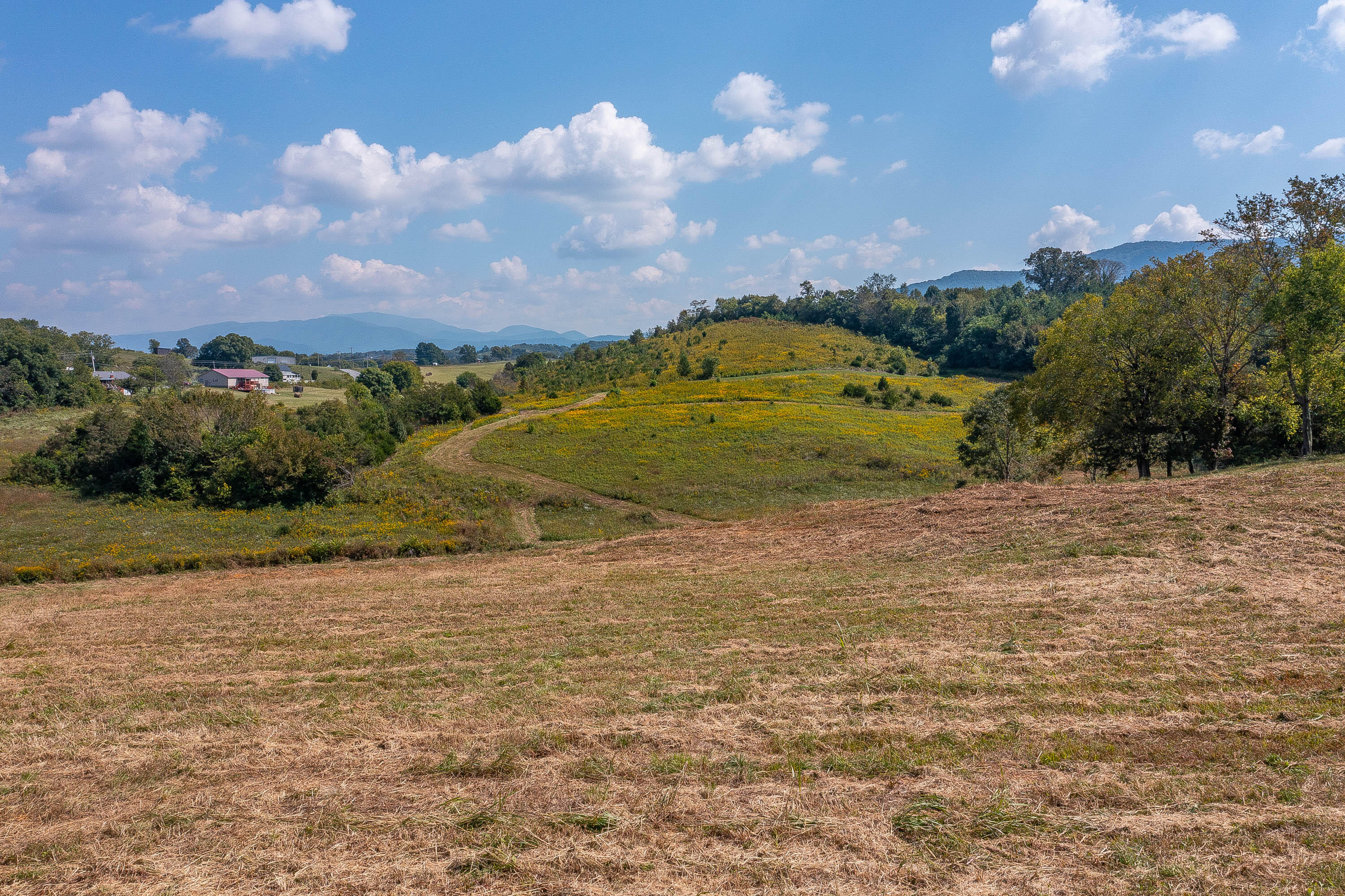 0 Browns Ridge Road Greeneville, TN 37743 - Photo 3 of 11 Ridge-2