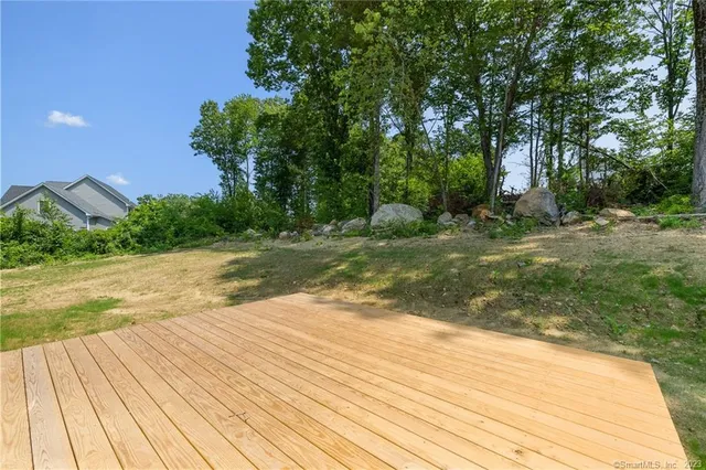 a view of a yard with trees