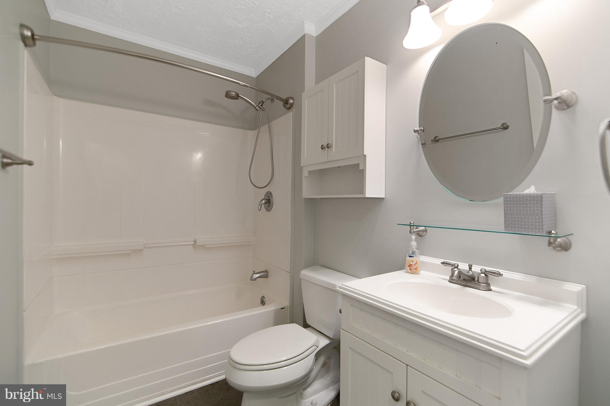 8306 Hollow Road Middletown, MD 21769 - Photo 22 of 37 a bathroom with a sink toilet and shower
