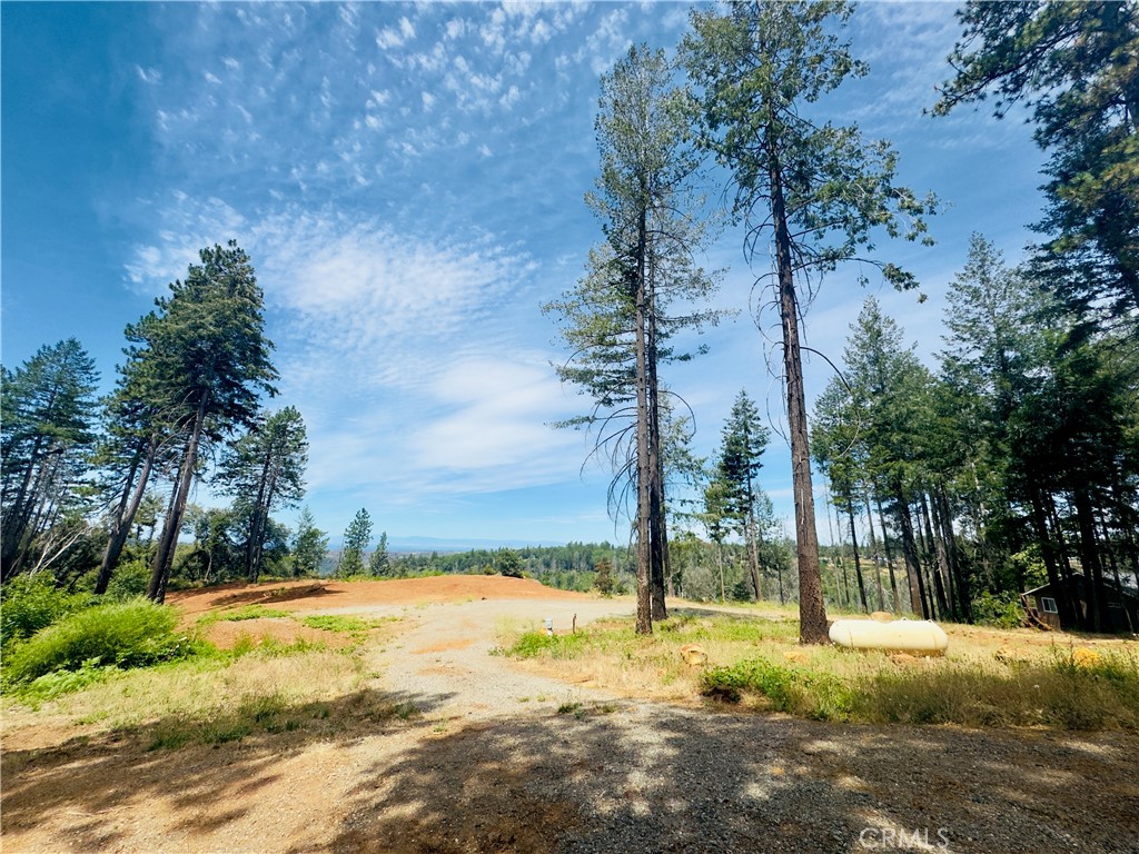 1400 Bader Mine Road Paradise, CA 95969 - Photo 3 of 16