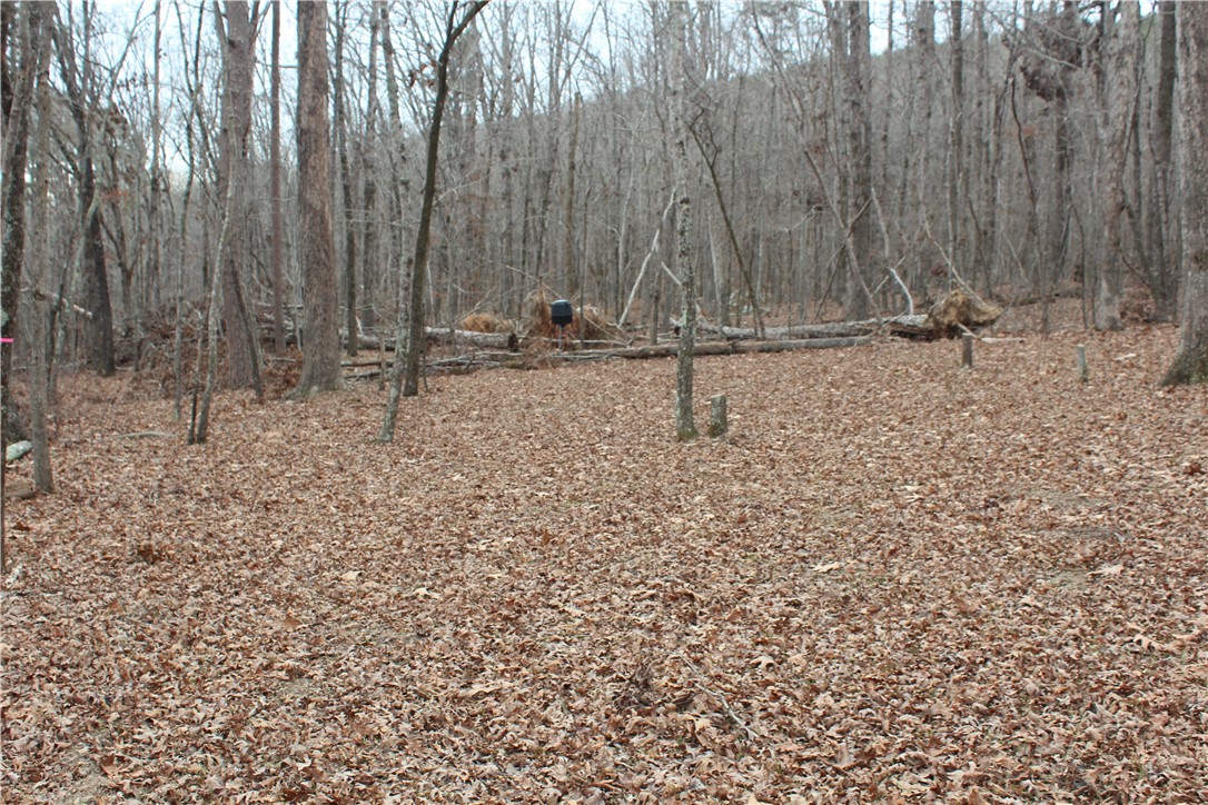 0 Old Brewer Road South Edgemont, AR 72044 - Photo 59 of 60 View of yard