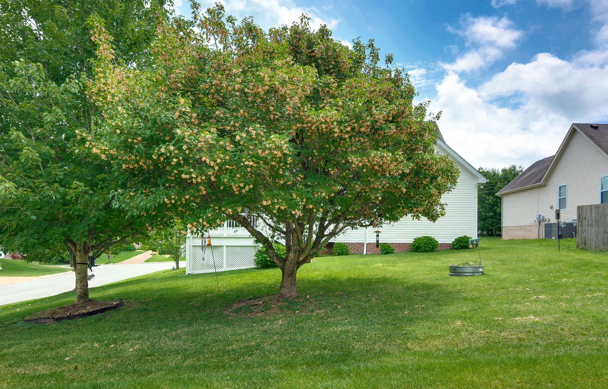 2020 Patrick Way Spring Hill, TN 37174 - Photo 46 of 63