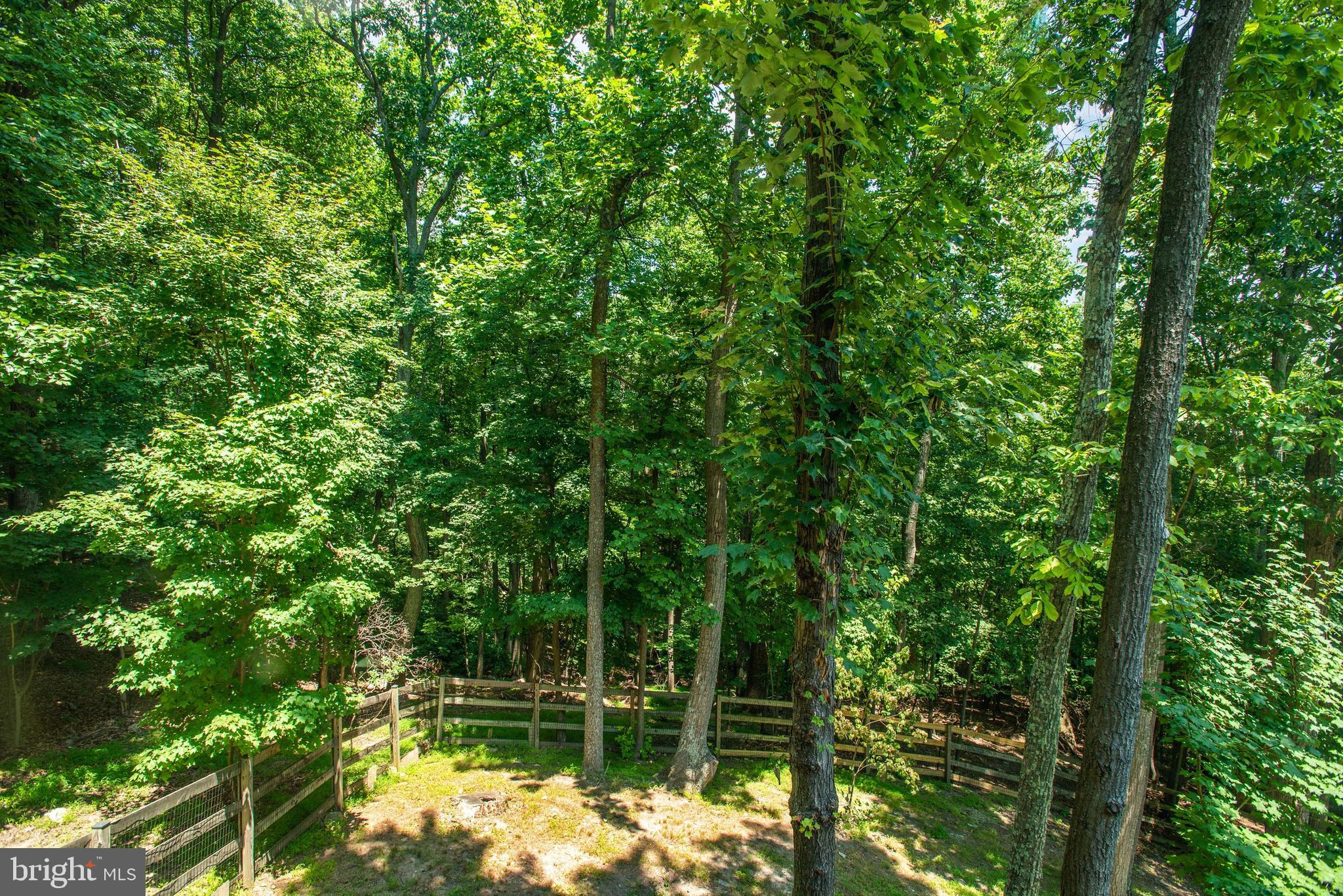 1619 Summit Drive Haymarket, VA 20169 - Photo 45 of 50