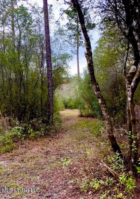 15429 Indian Fork Road Vancleave, MS 39565 - Photo 30 of 63 Trails Abound