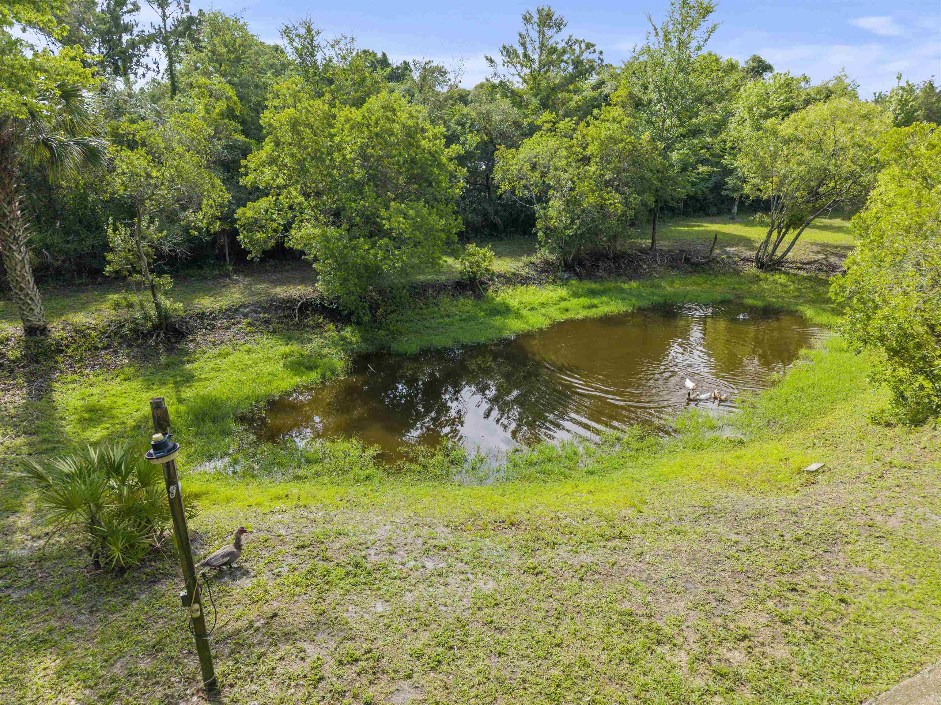 960 Cypress Road St. Augustine, FL 32086 - Photo 35 of 57