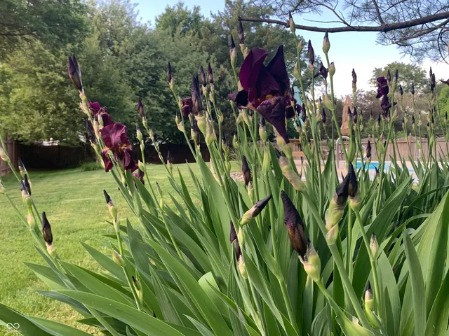 $686,600 | 10816 Cody Lane, Fishers, IN 46037