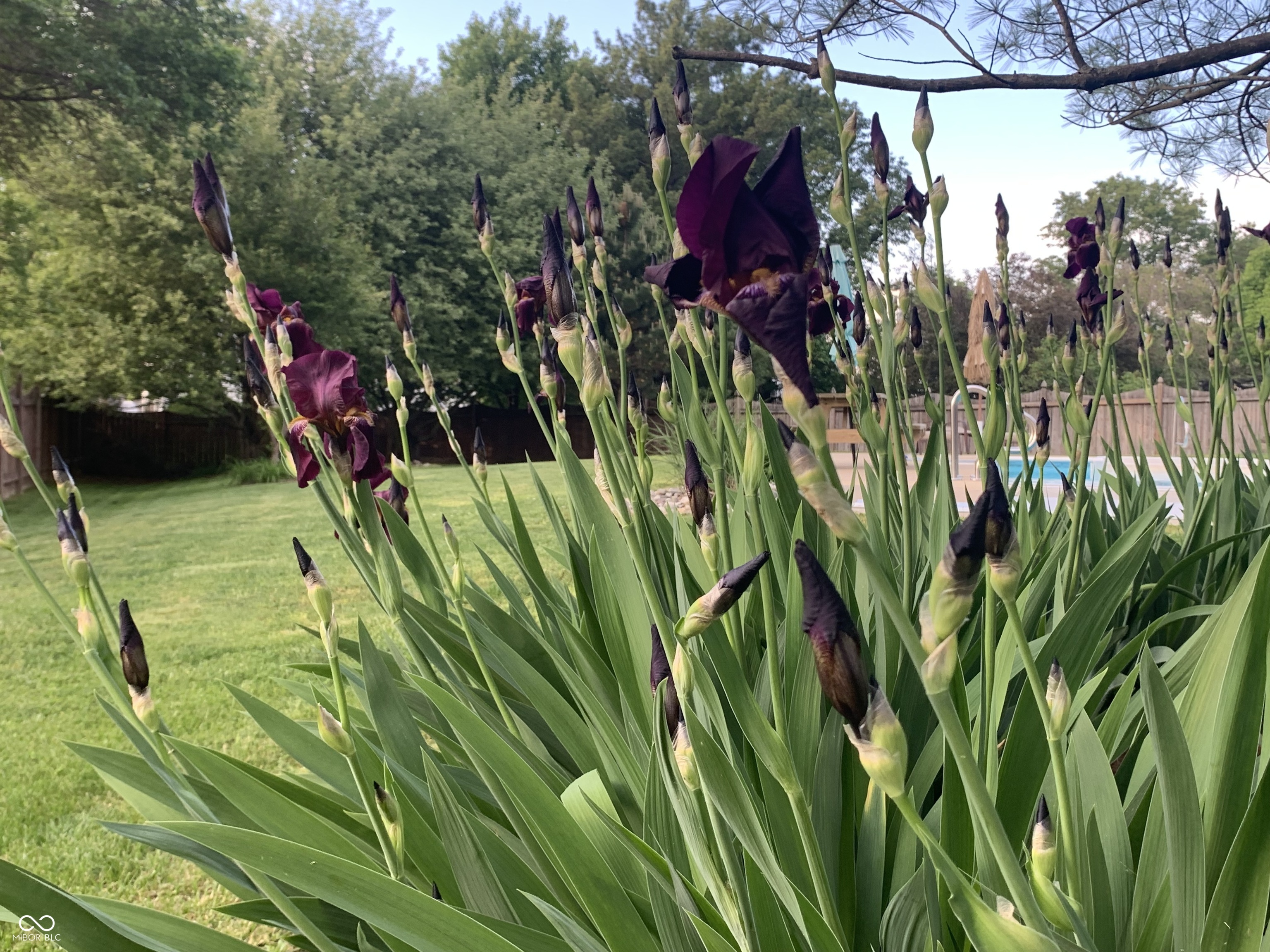 10816 Cody Lane Fishers, IN 46037 - Photo 49 of 52