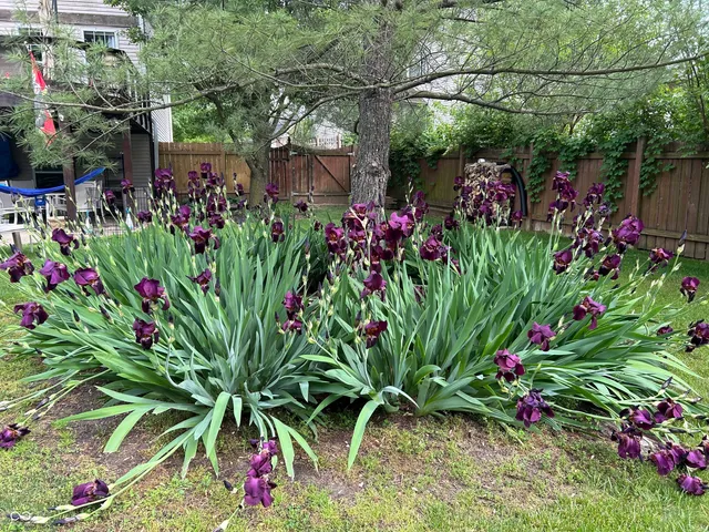 $686,600 | 10816 Cody Lane, Fishers, IN 46037