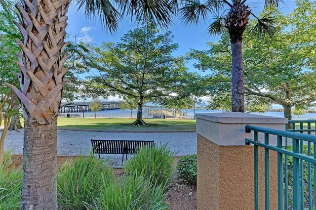 a living room with furniture a large window and a potted plant