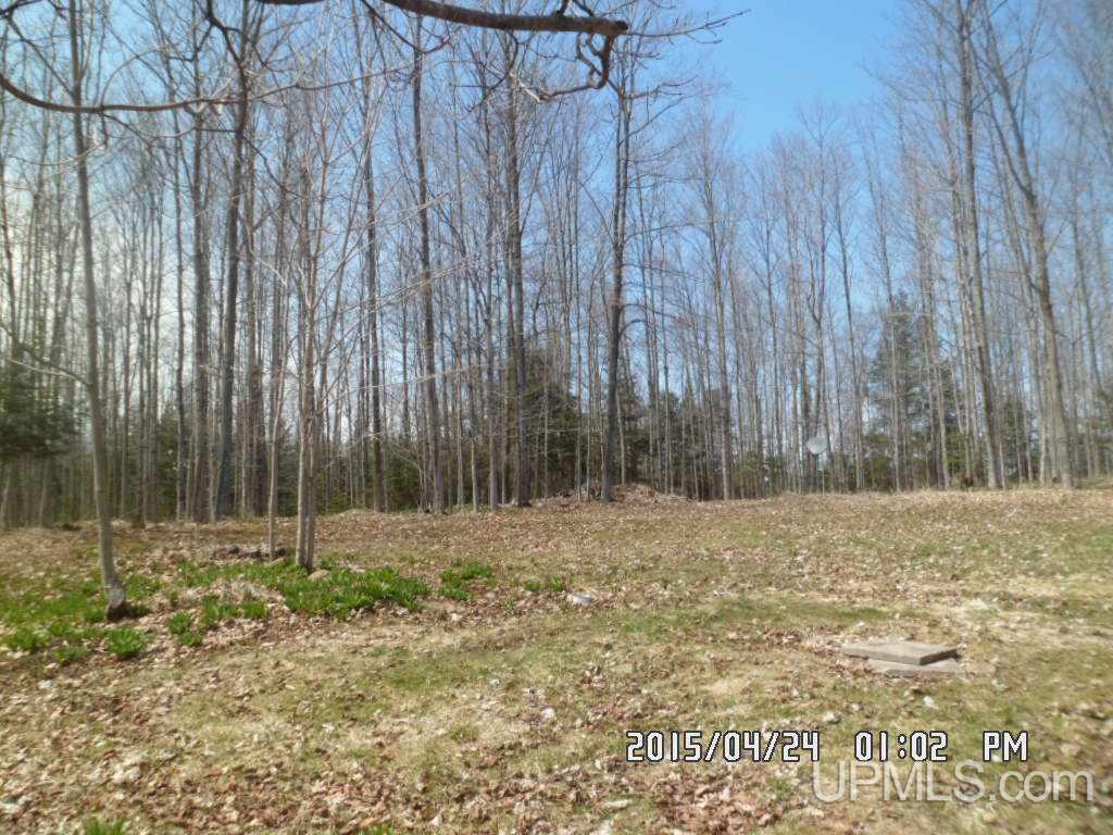 15627 North Co Road Wilson, MI 49896 - Photo 21 of 22