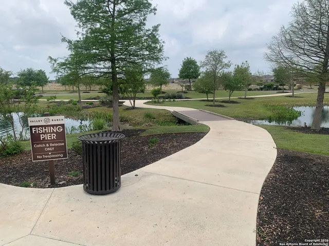 a street view with a wooden fence