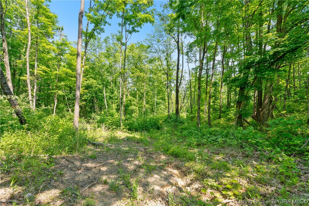 Rosewood & Lambs Ridge Road Southeast Elizabeth, IN 47117 - Photo 14 of 24