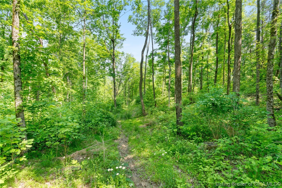 Rosewood & Lambs Ridge Road Southeast Elizabeth, IN 47117 - Photo 15 of 24