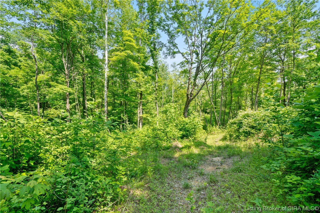 Rosewood & Lambs Ridge Road Southeast Elizabeth, IN 47117 - Photo 16 of 24