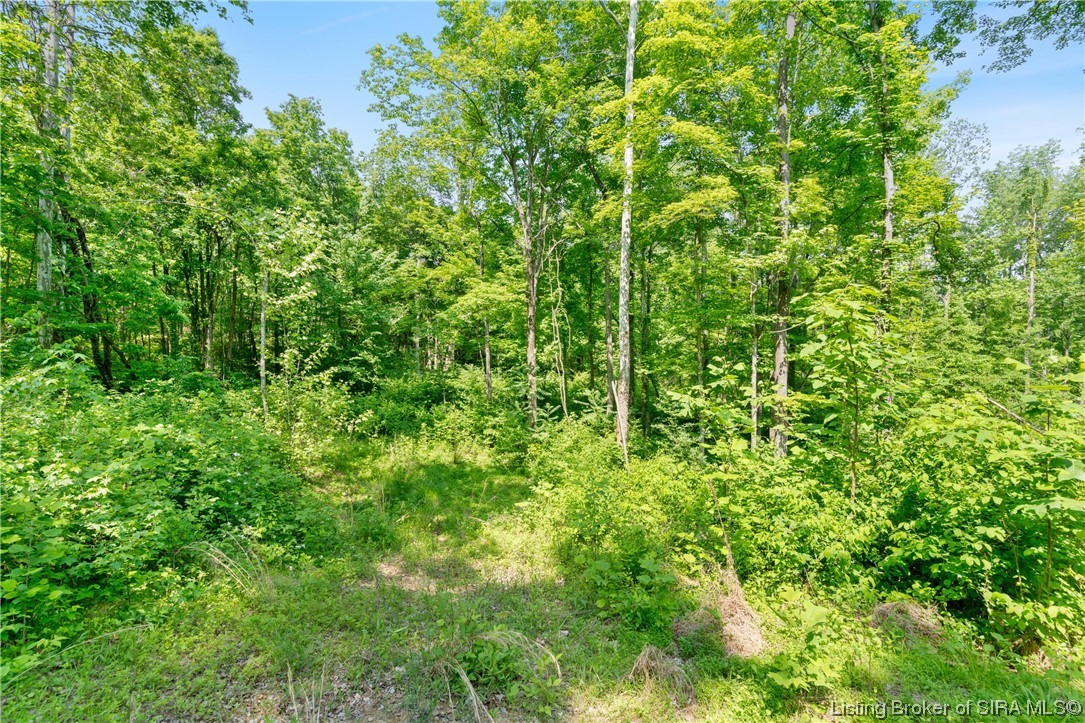 Rosewood & Lambs Ridge Road Southeast Elizabeth, IN 47117 - Photo 17 of 24
