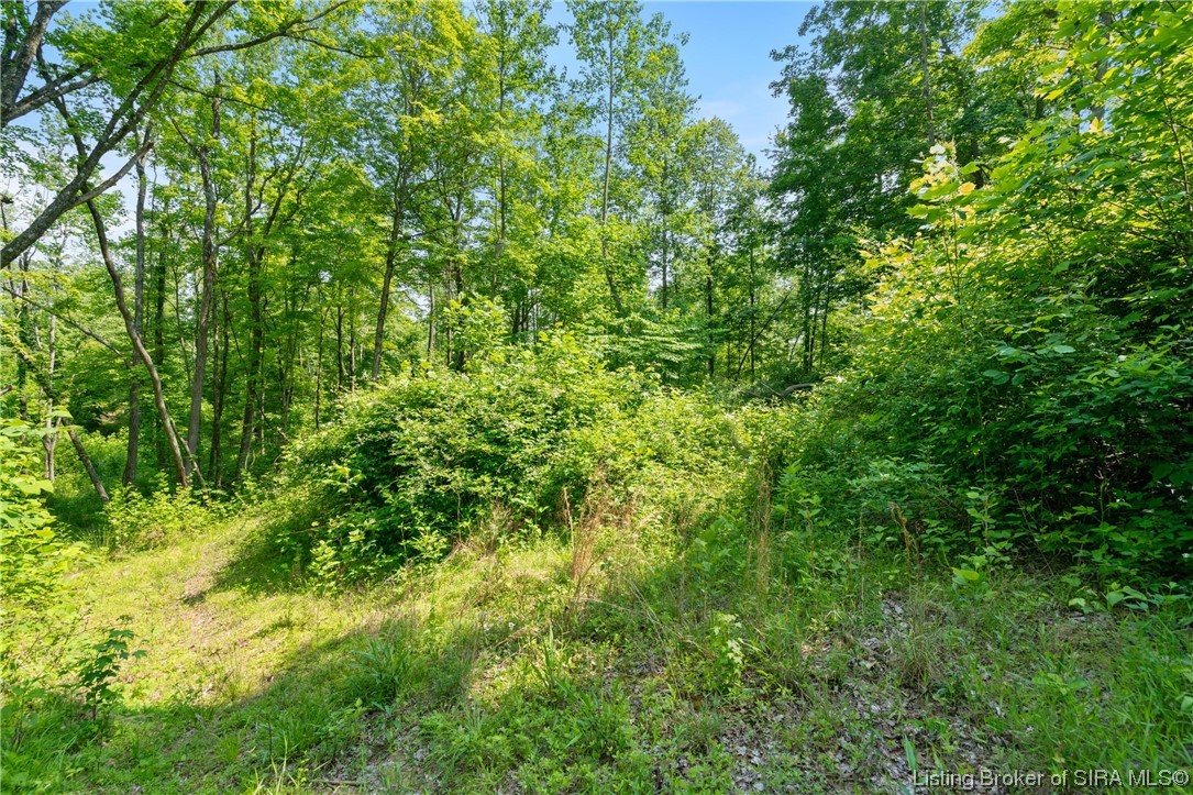 Rosewood & Lambs Ridge Road Southeast Elizabeth, IN 47117 - Photo 18 of 24